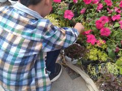 -石家庄市动物园