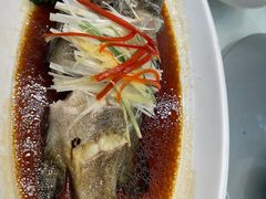 清蒸老虎斑-小贝壳酒楼(经九路店)