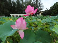 -龙环葡韵住宅式博物馆