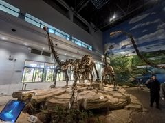 -自贡恐龙博物馆
