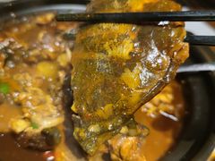 甲鱼裙边-鳖皇甲鱼餐厅(平阳路店)