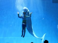 -芜湖新华联大白鲸海洋公园