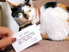 -微饮cafe