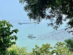 -青澳湾北回归线广场