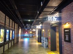 -CGV影城(壹方城IMAX店)