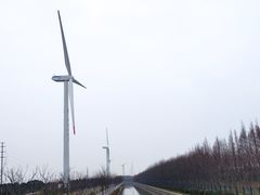 -上海长兴岛郊野公园