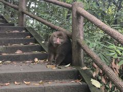 -峨眉山风景名胜区