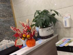 -Dr.林醫生产后修复·配方产康(南京江宁万达店)