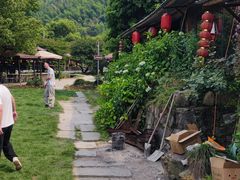 -午潮山国家森林公园