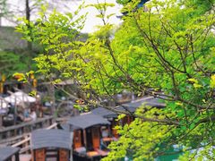-乌镇景区