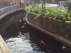 -侠成水上农庄(工业大道店)