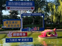 -团结湖公园