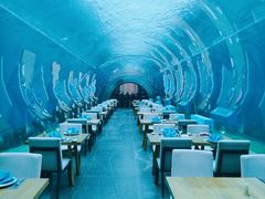 -海棠湾洲际-涛·海底餐厅·美人鱼·自助餐·海底隧道