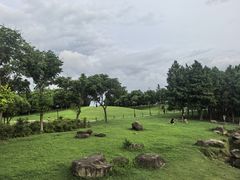 -滆湖低碳生态公园