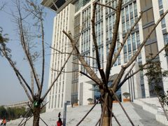 -河南财经政法大学(郑东校区)