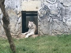 -黔灵山公园
