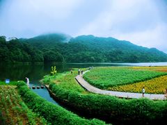 -广州市石门国家森林公园