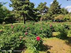 -沈阳植物园