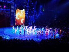 -珠海横琴长隆《卡卡虎奇遇记》