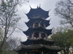 -西溪国家湿地公园