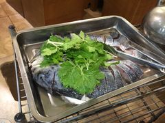 花鲢-滋味鱼火锅坊(花荄店)