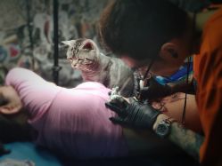 -幸运7纹身刺青Lucky7tattoo