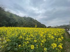 -贵阳市花溪国家城市湿地公园