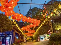 -巴倒烫陆派火锅山庄(南山总店)