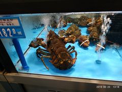 -麦德龙(郑东店)