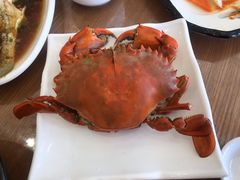 -洲晓鲜·舟山海鲜大排档(朱家尖风景区店)