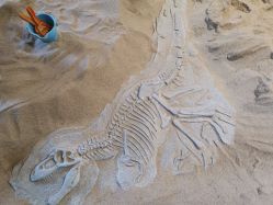 -恐龙探索乐园(磁器口店)