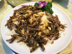 -五邑人家(江门店)