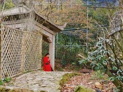 -树山生态村