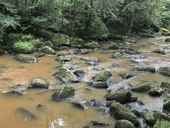-茅兰沟国家森林公园