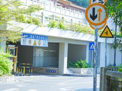 -深圳仙湖植物园