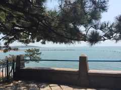 -青岛第二海水浴场