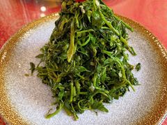 清香枸杞苗-国强手抓(北京西路店)