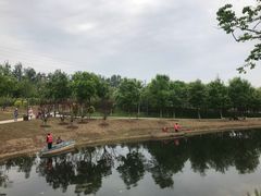 -东郊湿地公园
