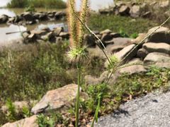 -上海都市菜园