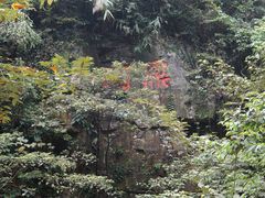 -鼎湖山风景区