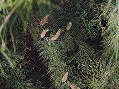 -白塘生态植物园