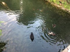 -长白岛森林公园