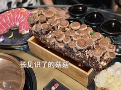 -凤园椰珍·臻品椰子鸡(保利时光里店)