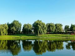 -羊亭河湿地公园