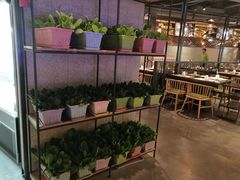 大堂-番食园鲜食火锅(高新店)