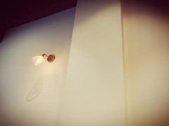 -black rainbow coffee