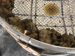 -赵记粽子(司前街店)