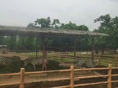 -西安秦岭野生动物园