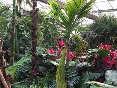 -呀路古热带植物园
