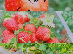 -厦门国家会计学院